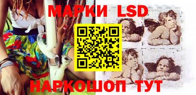мдпв Новозыбков
