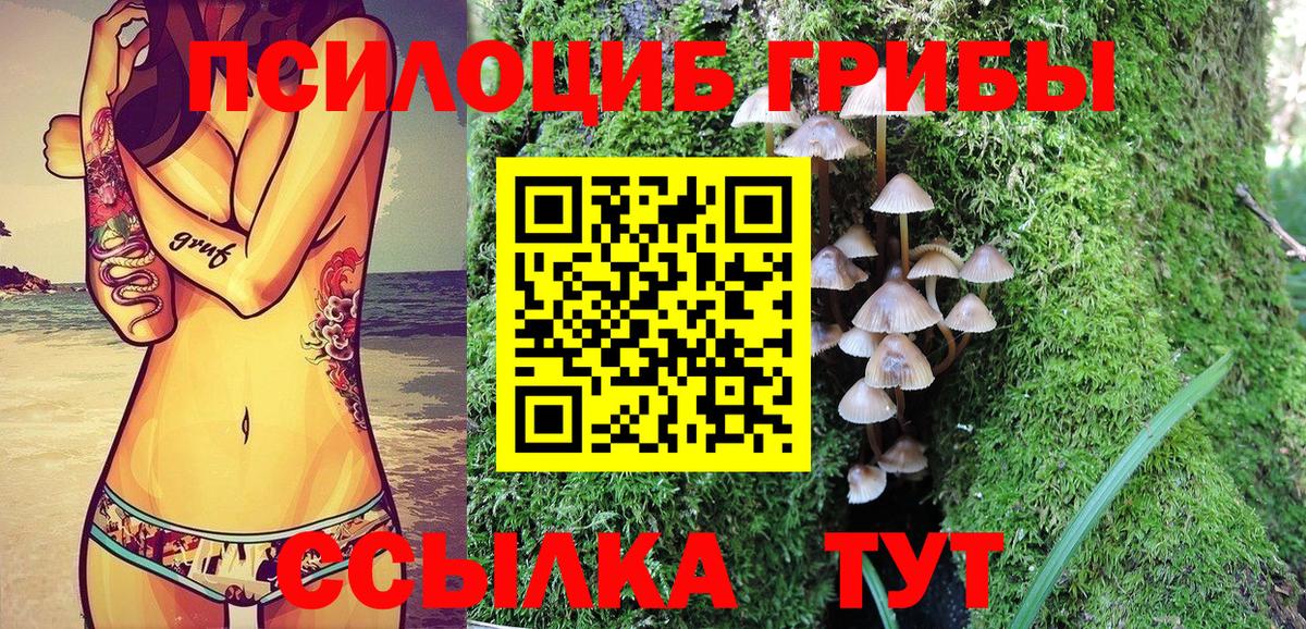 Псилоцибиновые грибы GOLDEN TEACHER Усолье-Сибирское