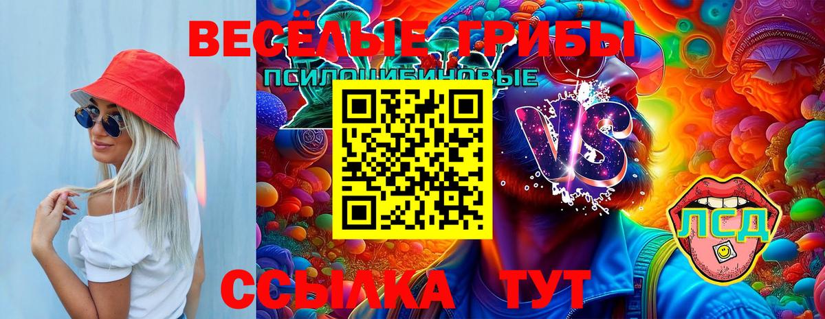 Псилоцибиновые грибы мицелий  Вход с VPN  Псилоцибиновые грибы Psilocybine cubensis  Усолье-Сибирское 